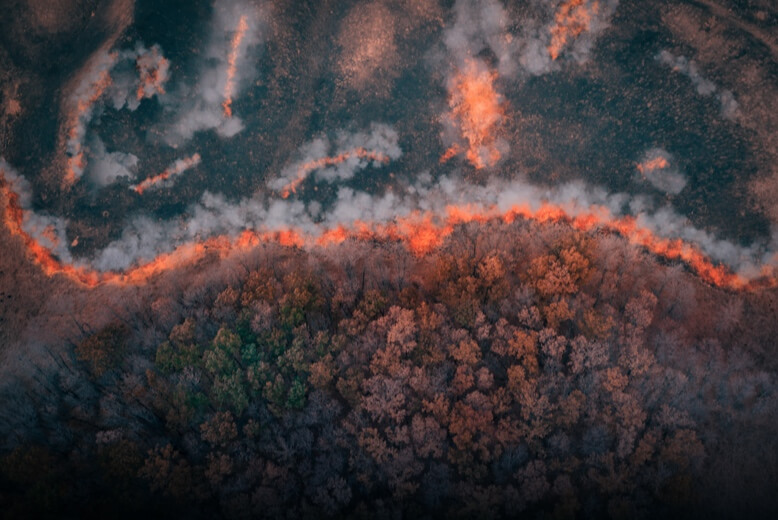Forest fire rescue